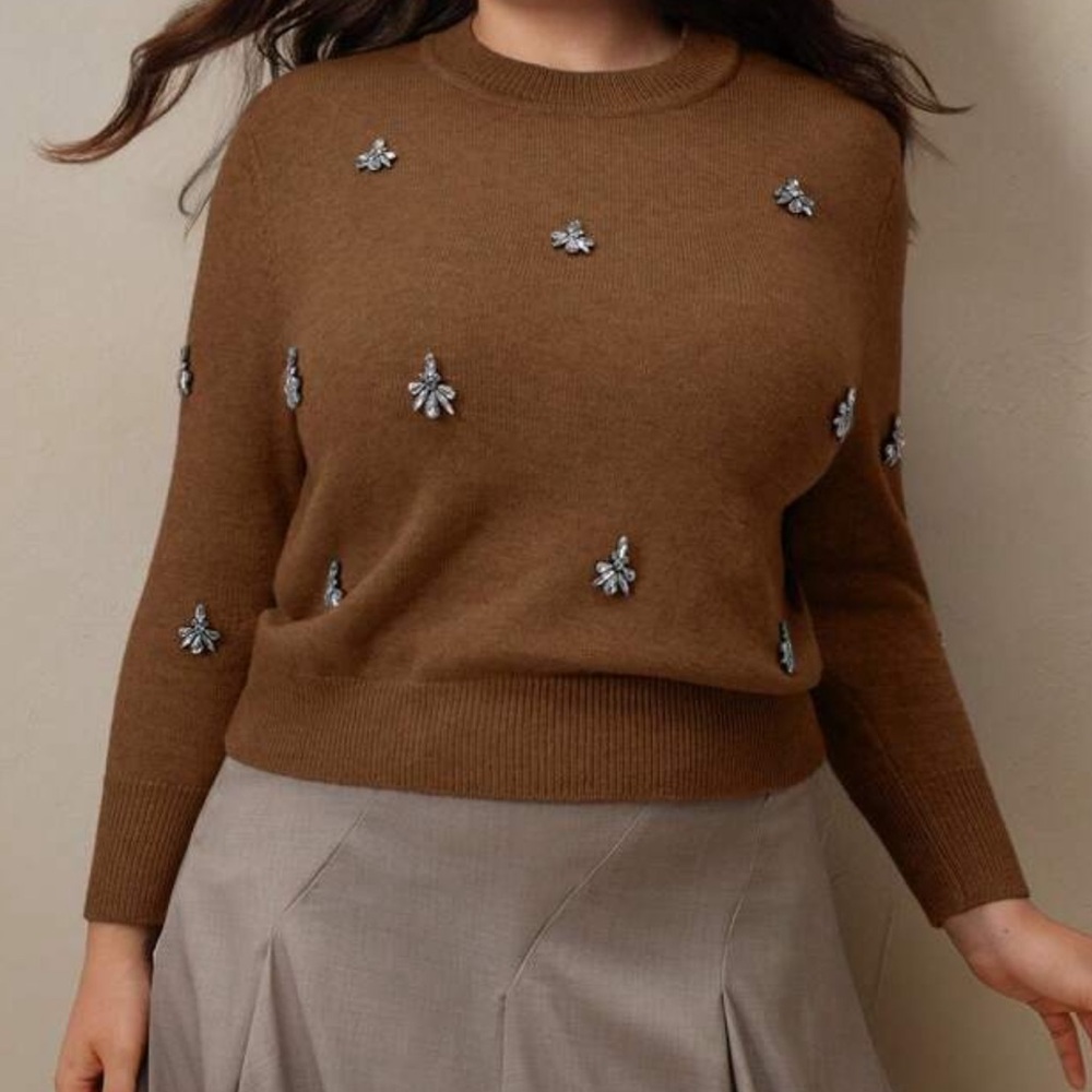 🤎 PLUS Embellished Sweater 🤎 - Picture 5 of 6